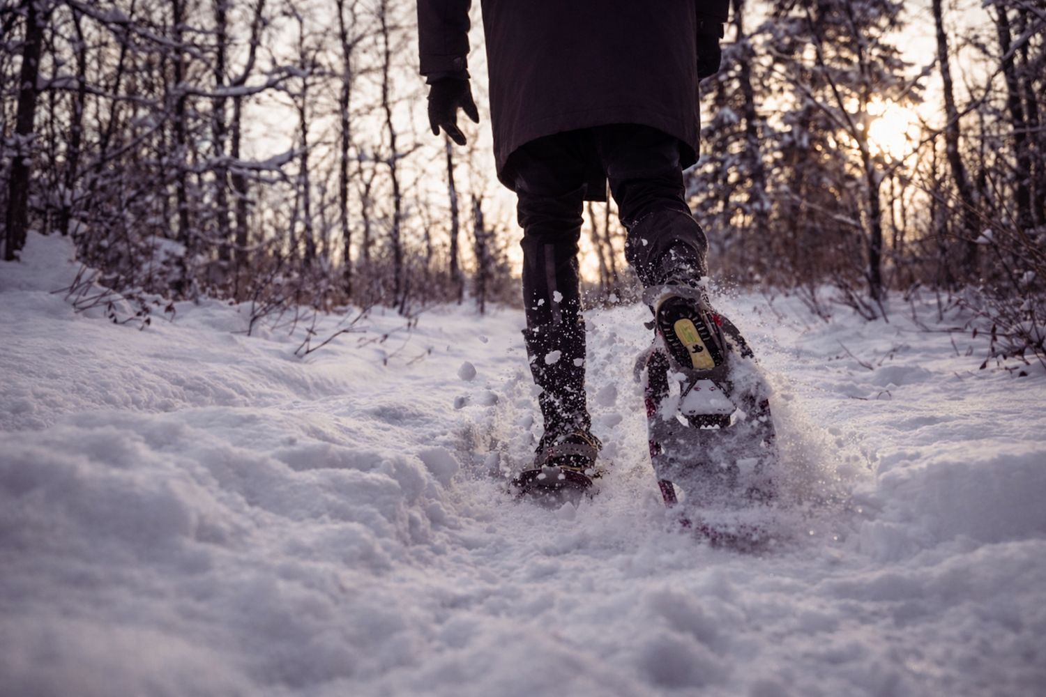 A person walks through a snowy forest path with their dog during a peaceful winter day.