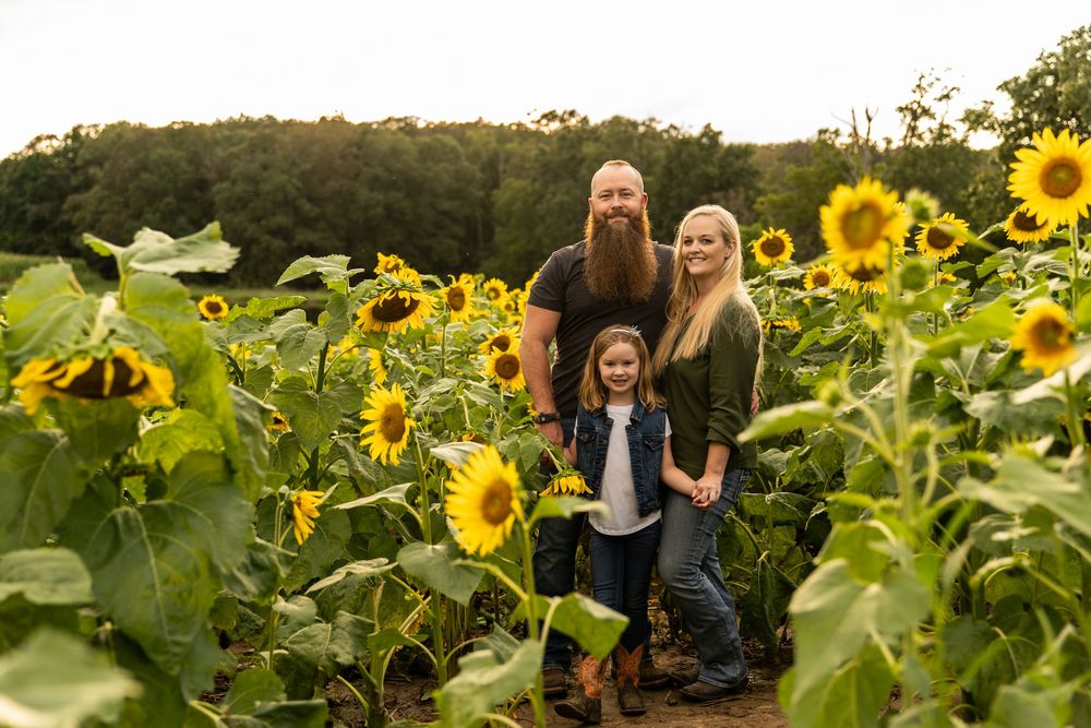 Family portrait of mom, dad and daughter standing in a field of sunflowers.