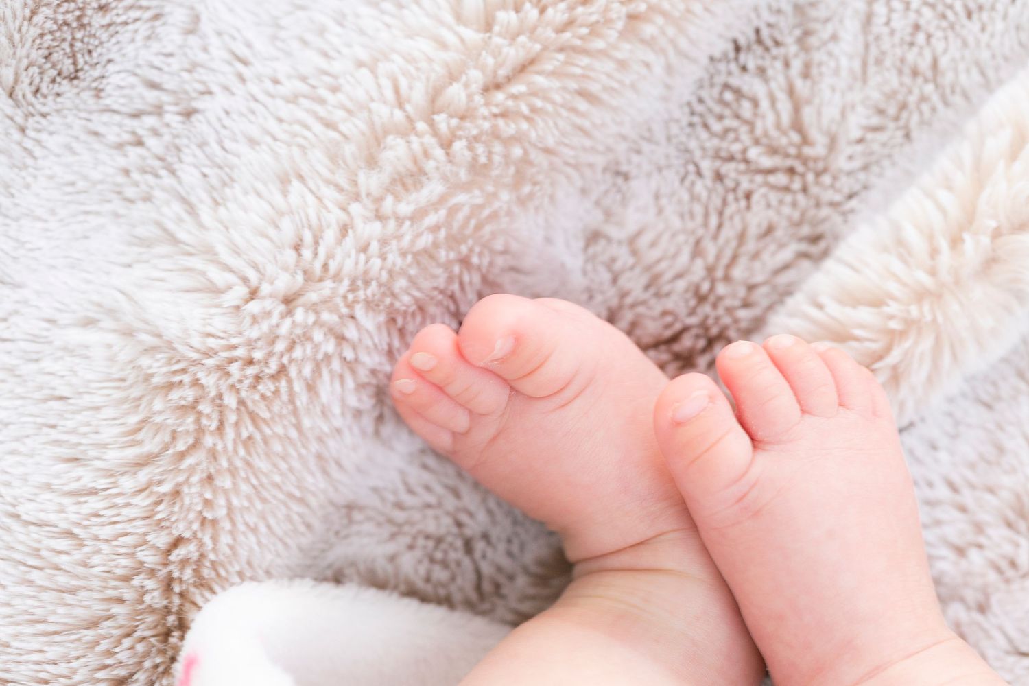 Small baby feet resting on soft plush blanket in warm natural lighting.