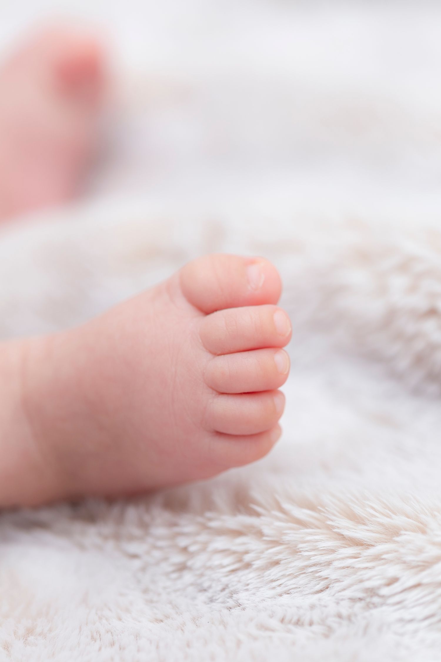 Close-up view of tiny baby toes on soft white textured fabric.
