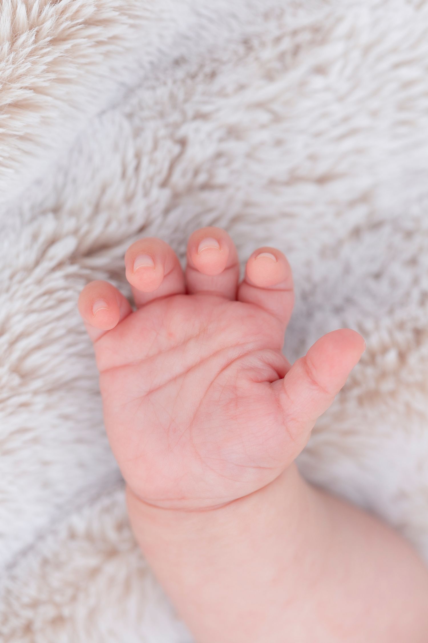 Tiny baby hand with delicate fingers resting on white fluffy fabric.