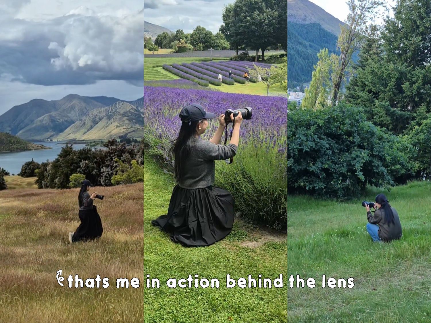 A collection of landscape photos showing mountains, fields, and lavender farms arranged in a horizontal collage.