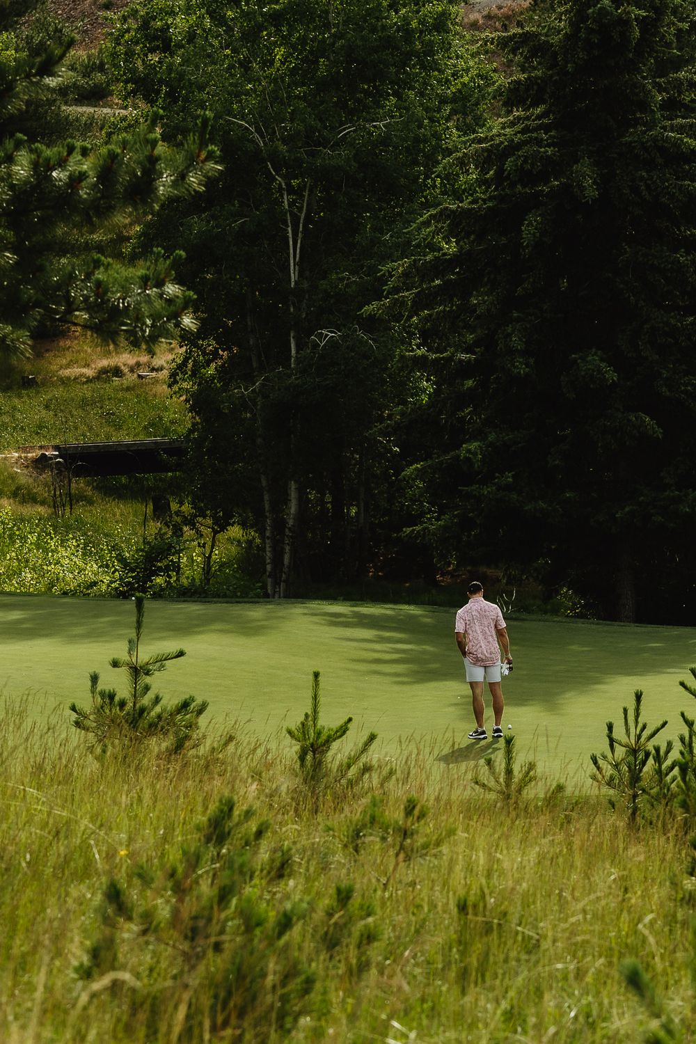 A person walks across a lush green golf course surrounded by tall pine trees on a sunny day.