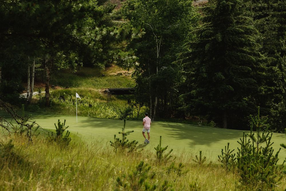 A golfer stands on a lush green fairway surrounded by tall pine trees and natural vegetation on a sunny day.