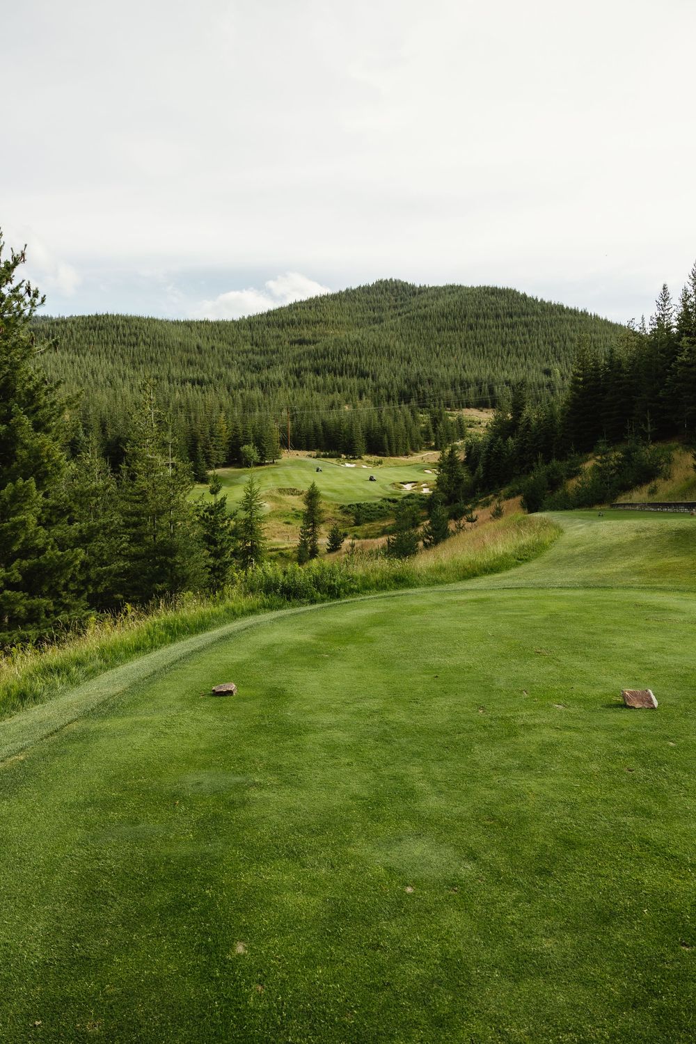 A scenic mountain golf course with rolling green fairways surrounded by pine forests.