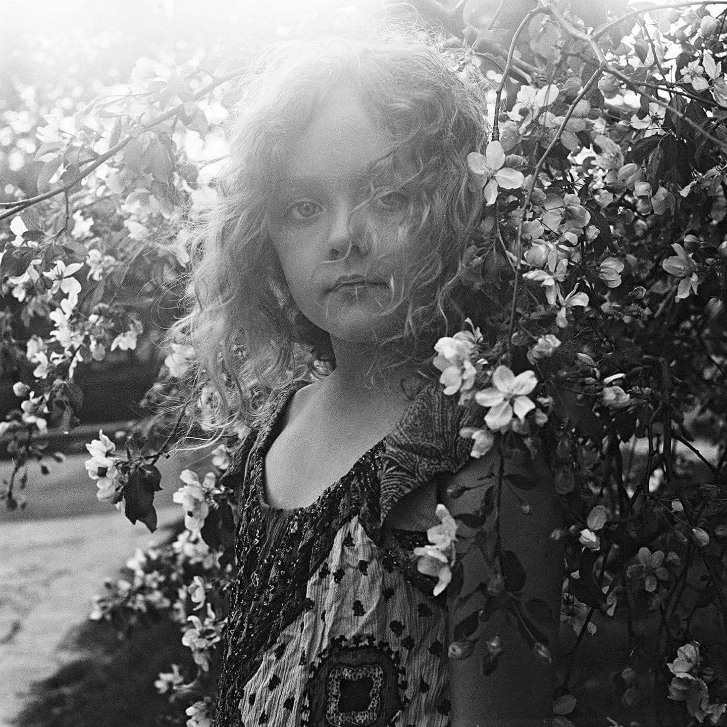A dreamy black and white portrait series showing someone with curly hair among blooming flowers in soft sunlight.