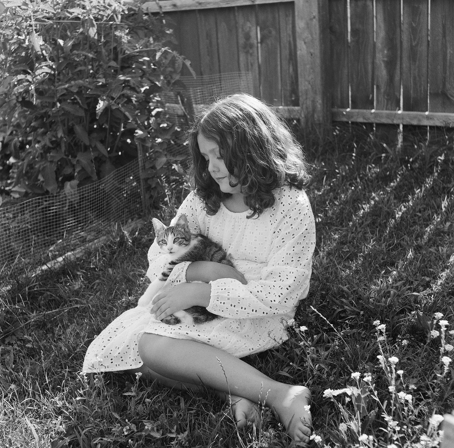Black and white photo series showing a person in polka dot dress sitting in garden with cat in progressive interaction.