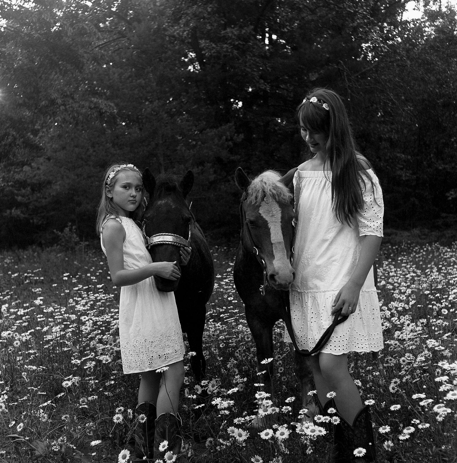 Two figures in white dresses stand with a black dog in a meadow of daisies on a summer day.
