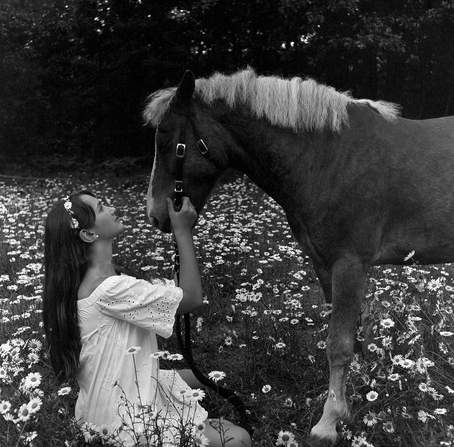 A dreamy black and white scene of a person in a flowing dress standing with a horse in a field of daisies.