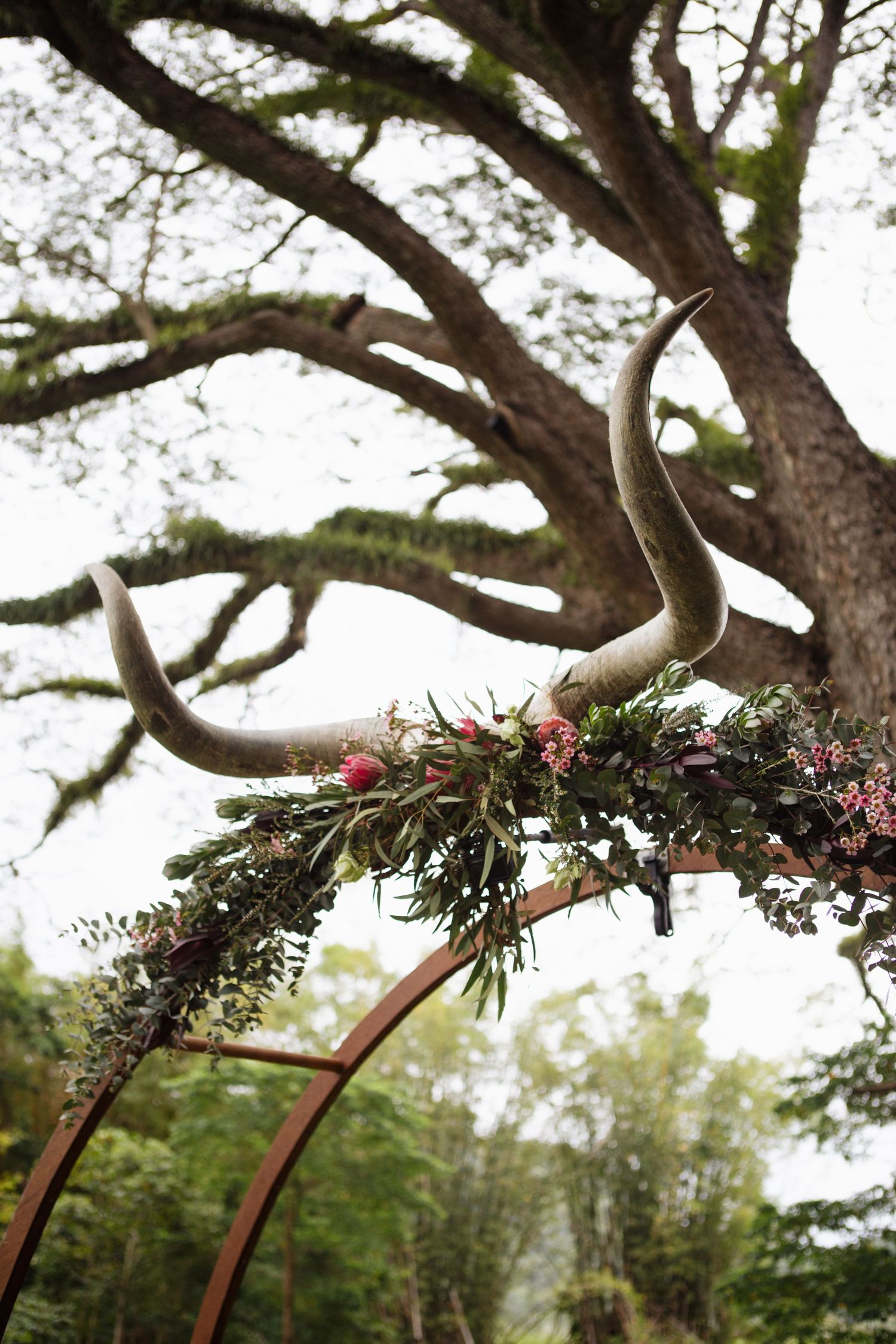 Horns on arbour at ceremony at country Port Douglas Wedding