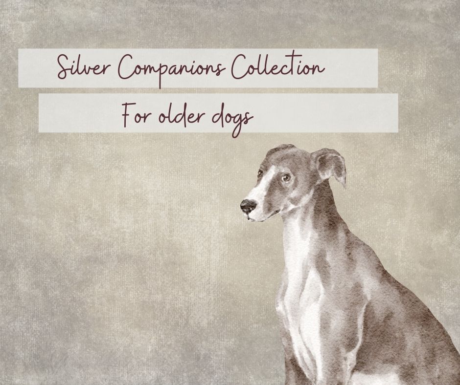 A series of black and white photographs showing senior dogs in a collection titled Silver Companions.