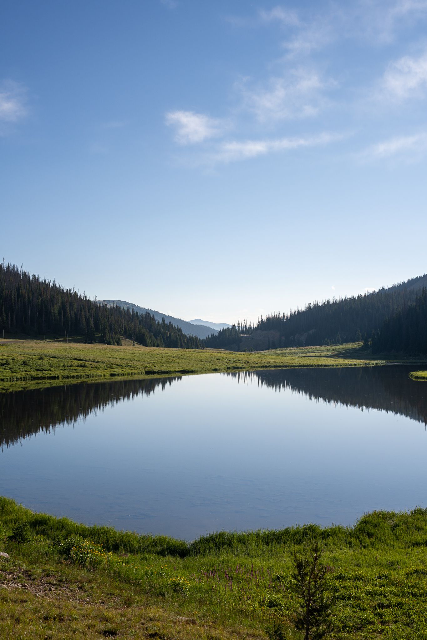 A serene mountain lake reflects the surrounding pine-covered hills and blue sky in a panoramic landscape view.