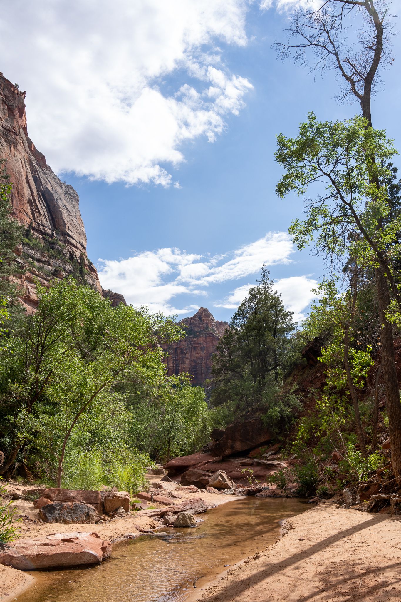Hikers explore a scenic trail along a winding stream surrounded by towering red rock cliffs in Zion National Park.