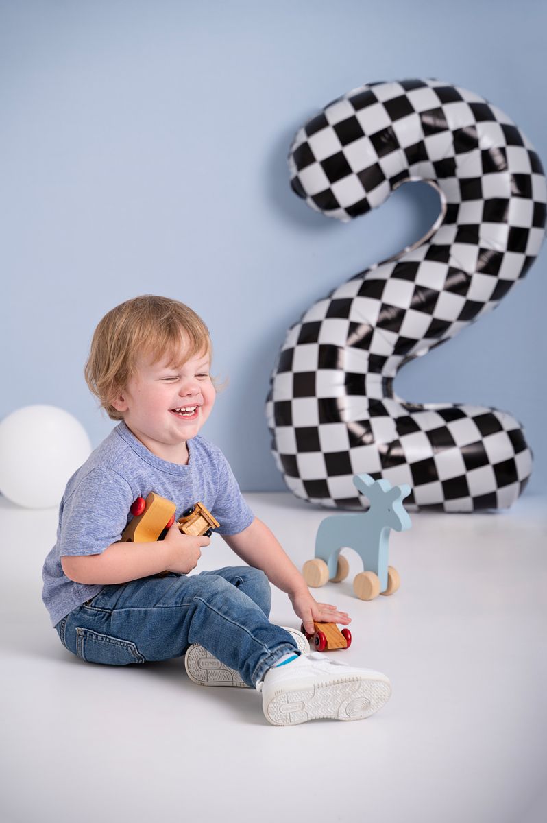 Second birthday milestone session