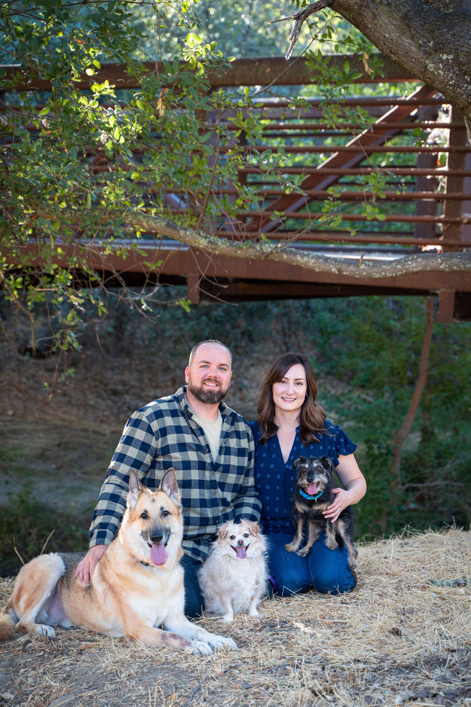 Family portrait with two fluffy dogs relaxing under trees in a rustic outdoor setting.