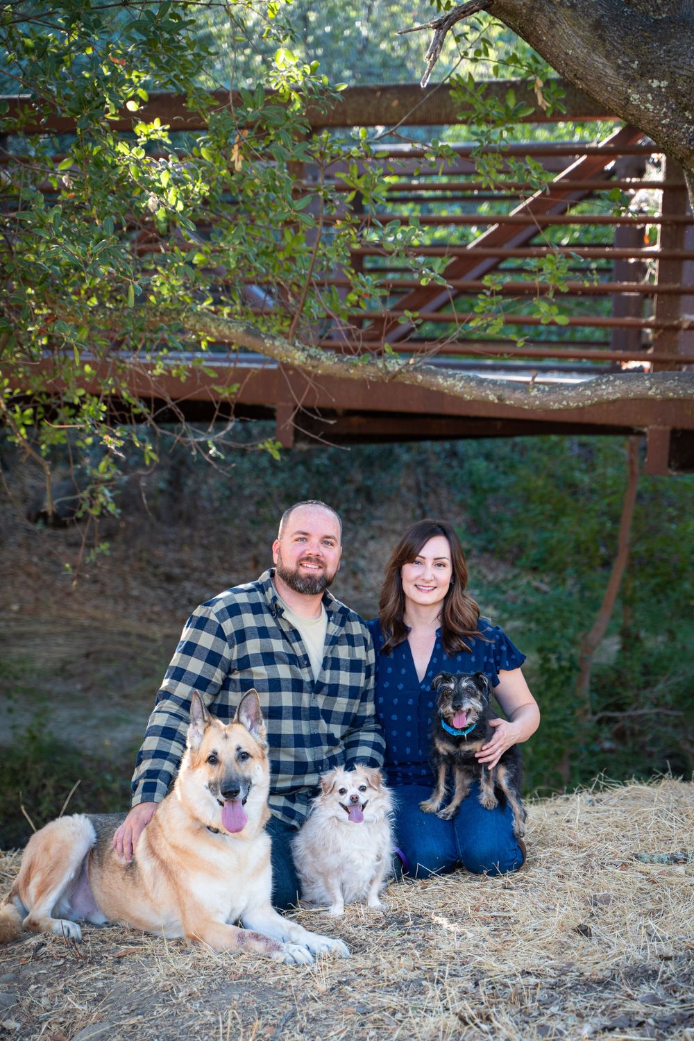 Family portrait with two fluffy dogs relaxing under trees in a rustic outdoor setting.