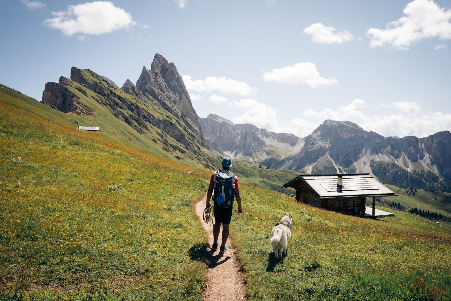 randonneur et son chien à seceda dans les dolomites