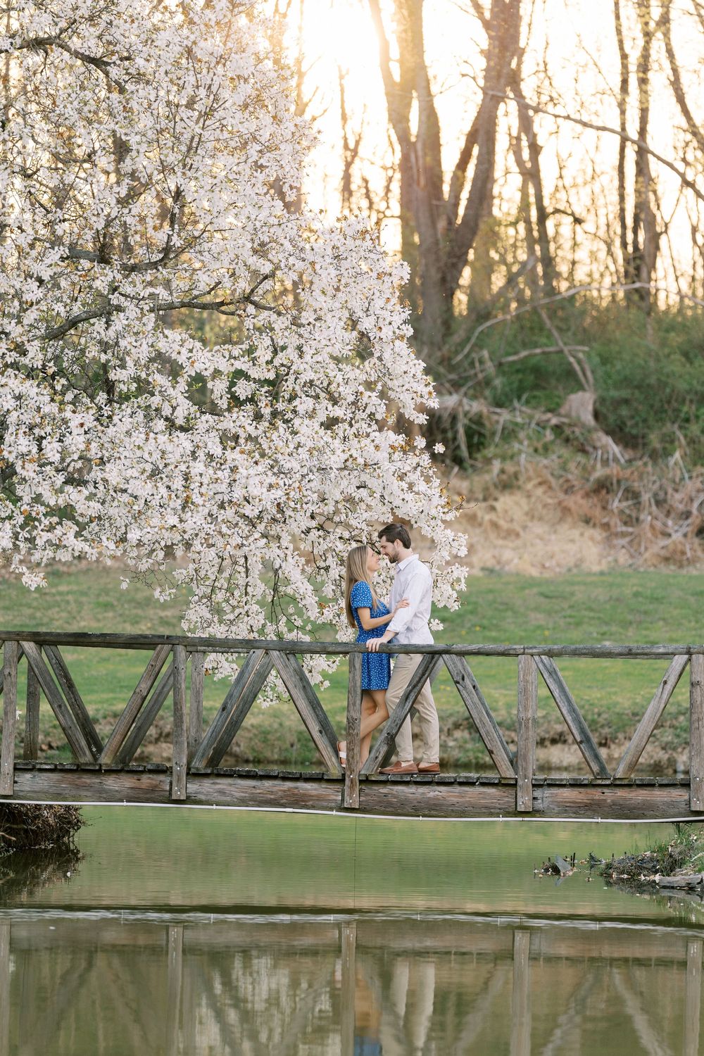 A romantic springtime scene on a wooden bridge over a pond with blooming cherry blossoms overhead at sunset in Warwick, New York.