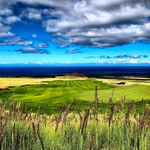 Hawaii Collection - Nanea
