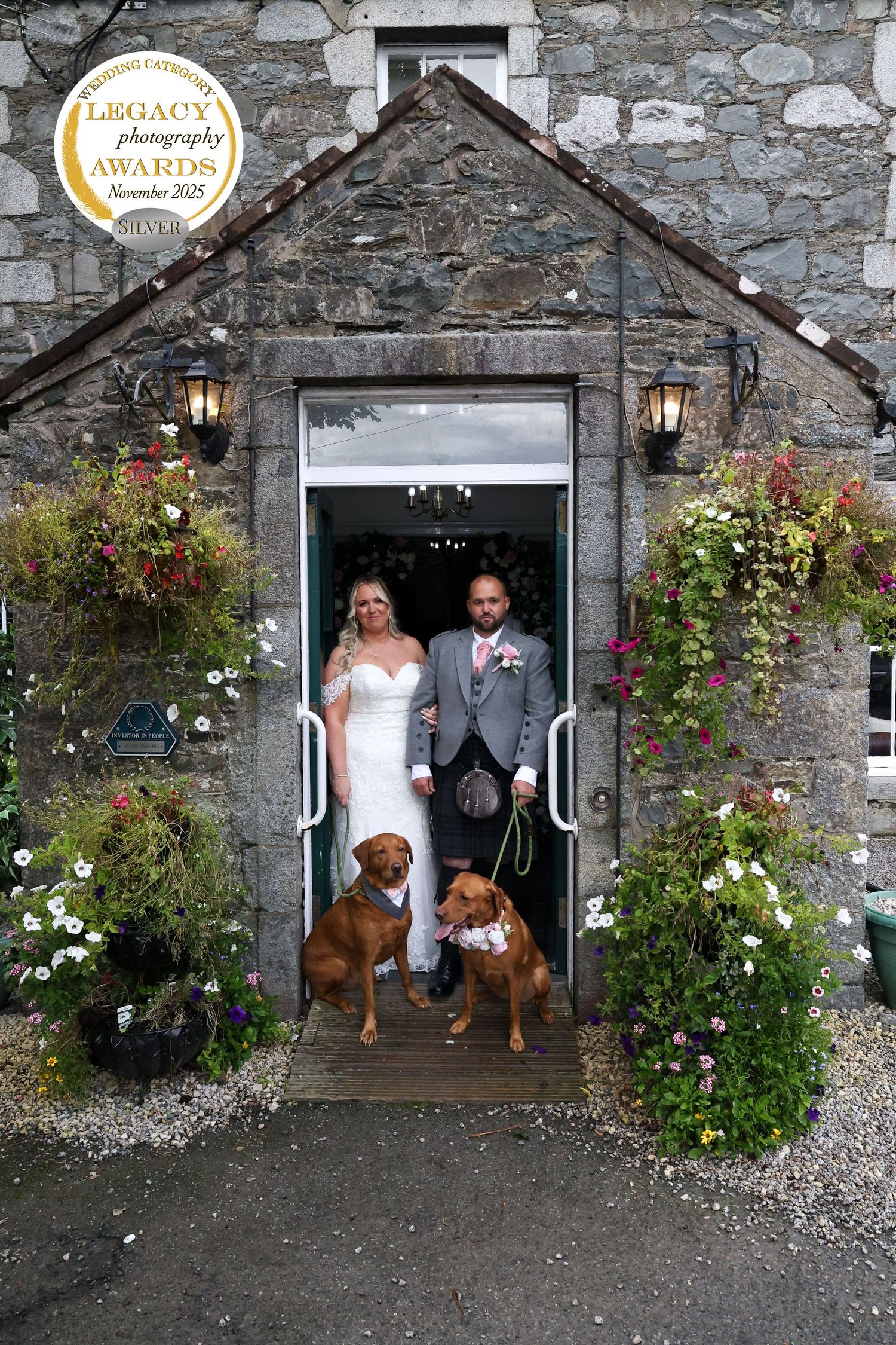 Romantic wedding ceremony moment against a white backdrop with twinkling lights.
