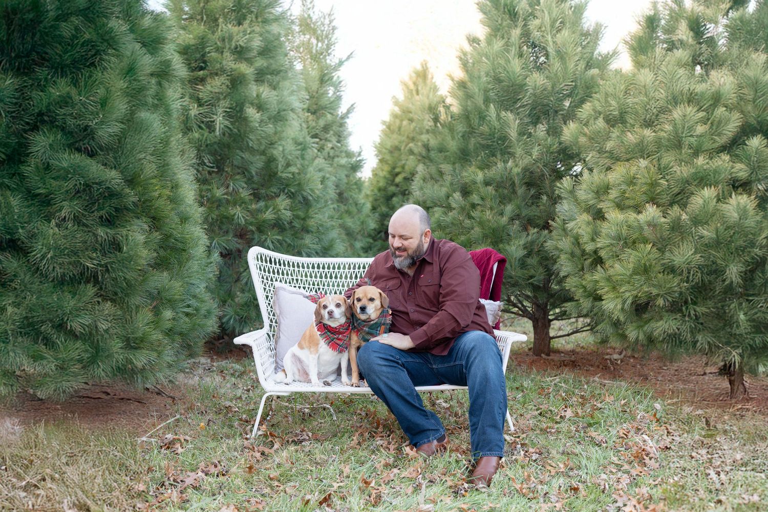 Springfield, IL Photographer captures someone with their two dogs snuggling on a bench during a family session in Central, IL.