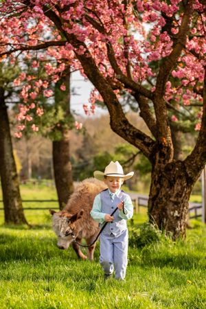 Spring scene with cherry blossoms blooming above a small figure in cowboy hat walking with a miniature pony on green grass.