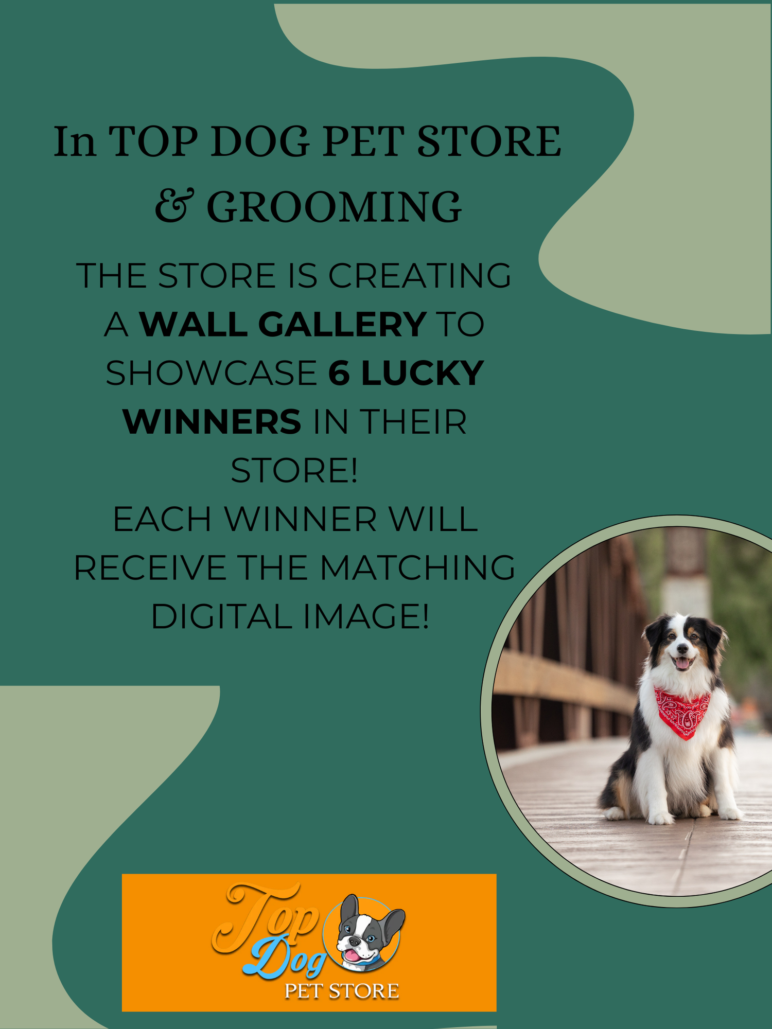 A green promotional banner for Domino Effect Animal Rescue shows circular photos of dogs and the organization's logo.