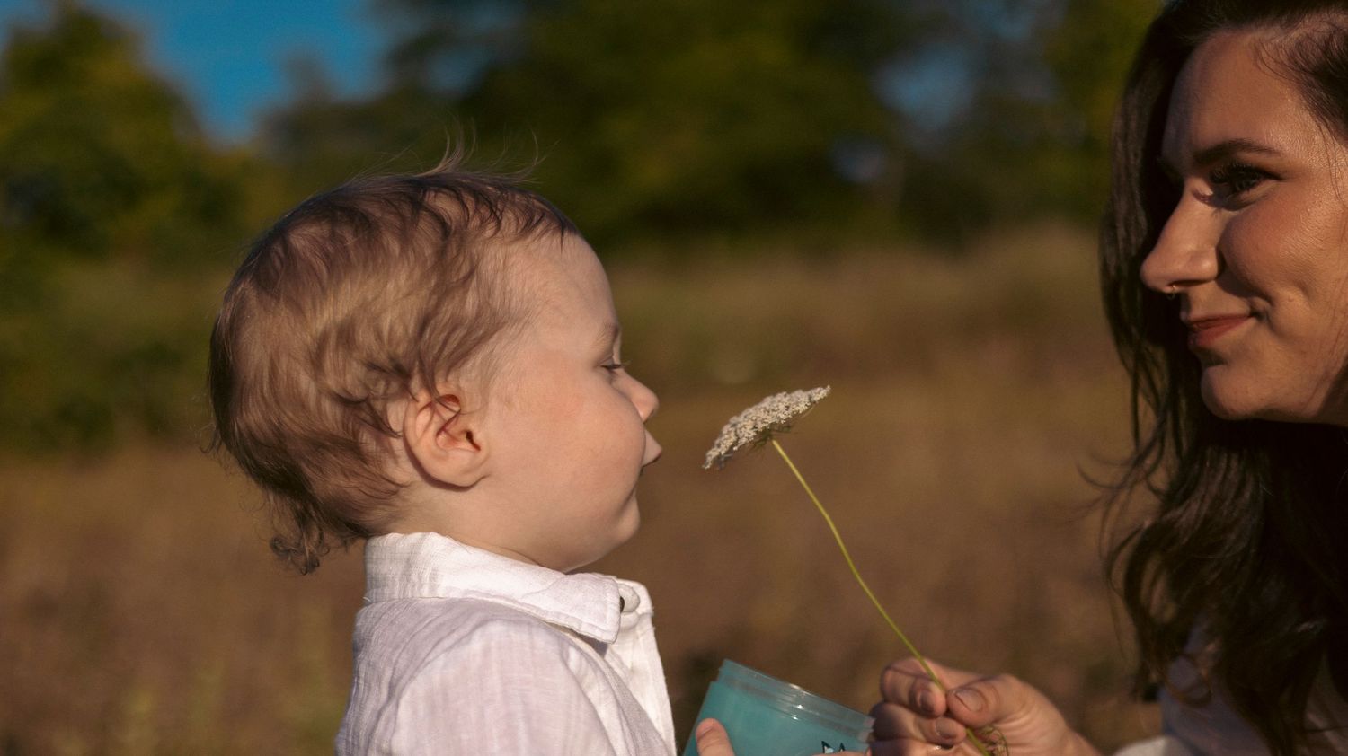 A baby reaches for a dandelion seed head held by someone in a sunny outdoor setting.