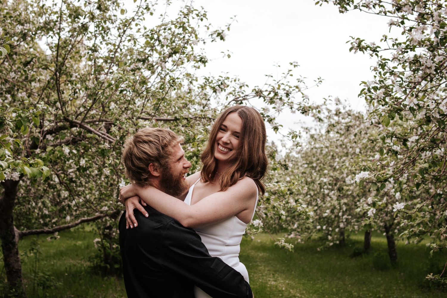 A couple shares a romantic moment among blooming cherry trees in a spring orchard.