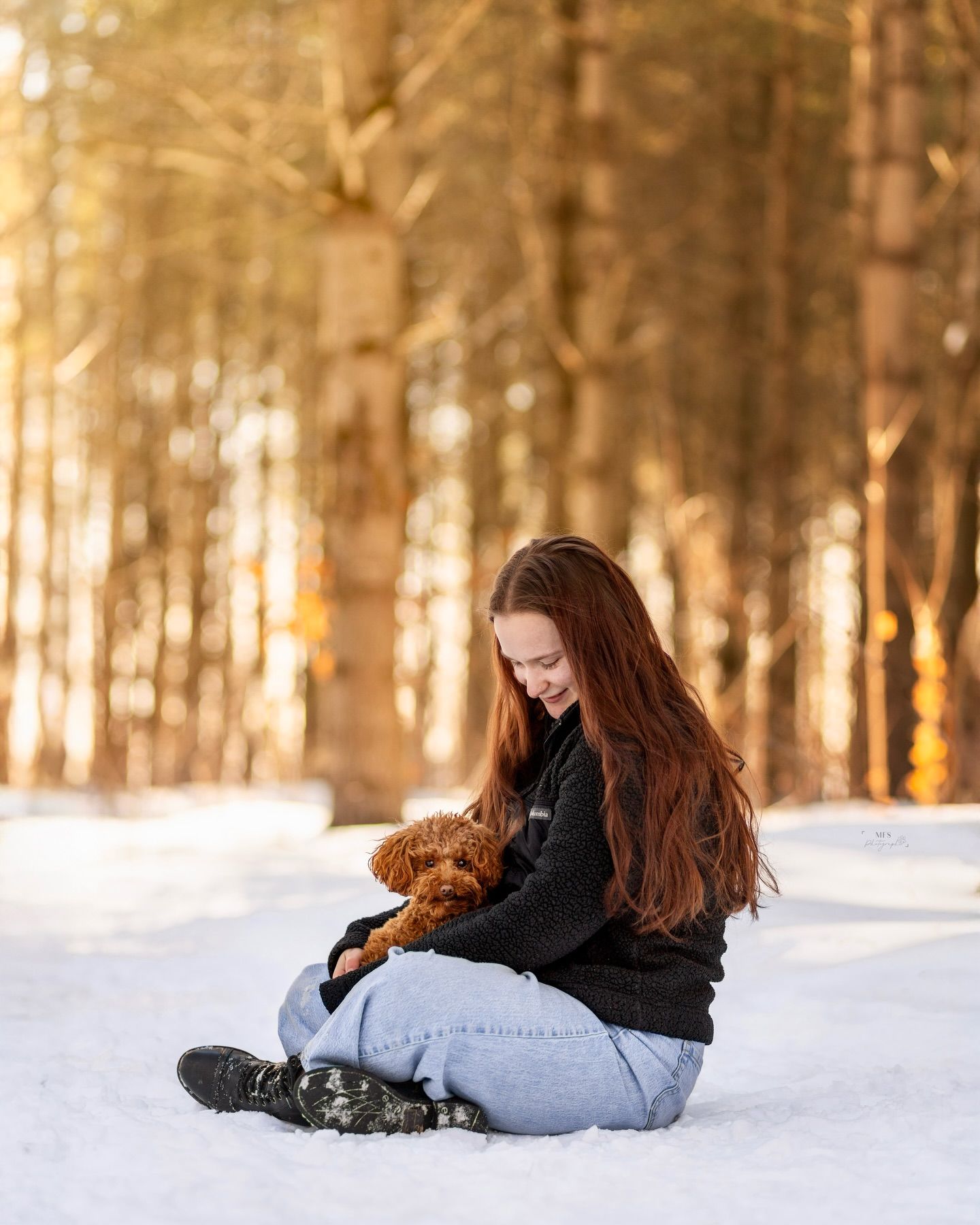 human-dog-photoshoot
dog-portrait-photoshoot