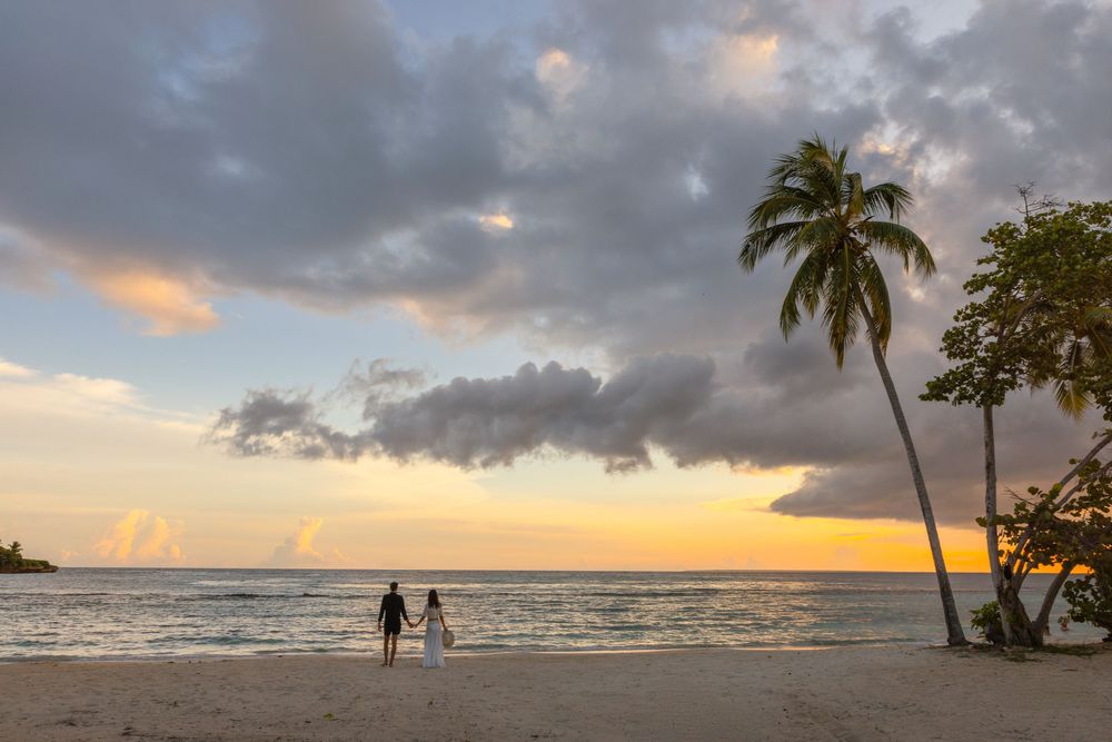 Scenic beach sunset with palm trees and silhouetted figures walking along the shoreline at dusk.