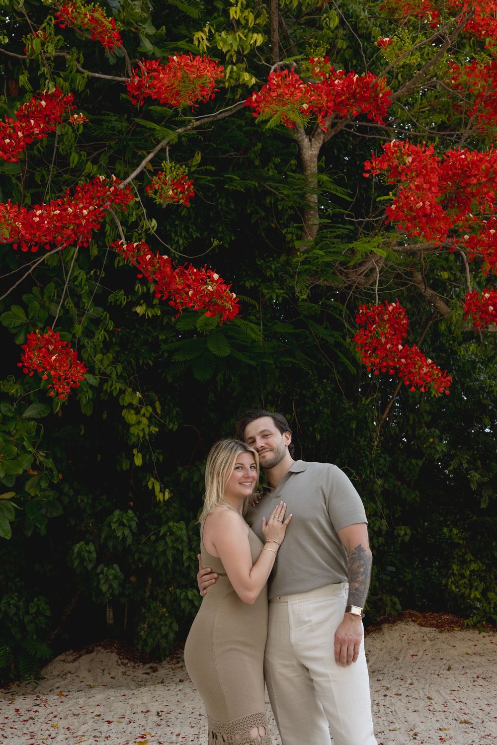 A couple shares a romantic moment under vibrant red flowering trees in a tropical garden setting.