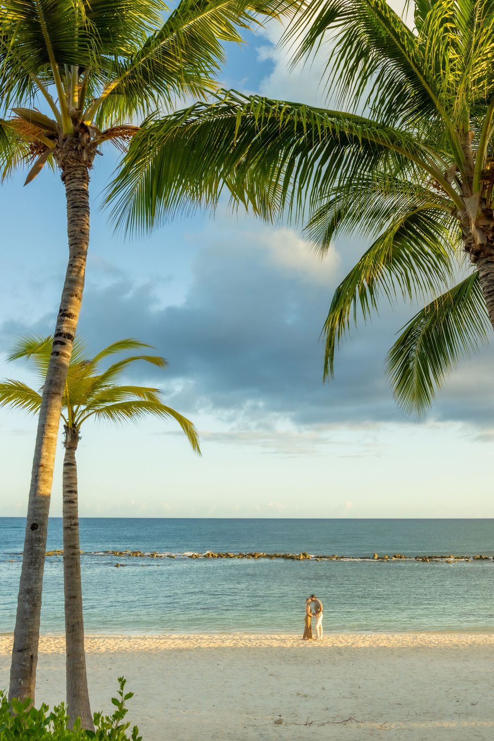 Palm trees line a pristine white sand beach with turquoise waters and cloudy skies in a tropical paradise setting.