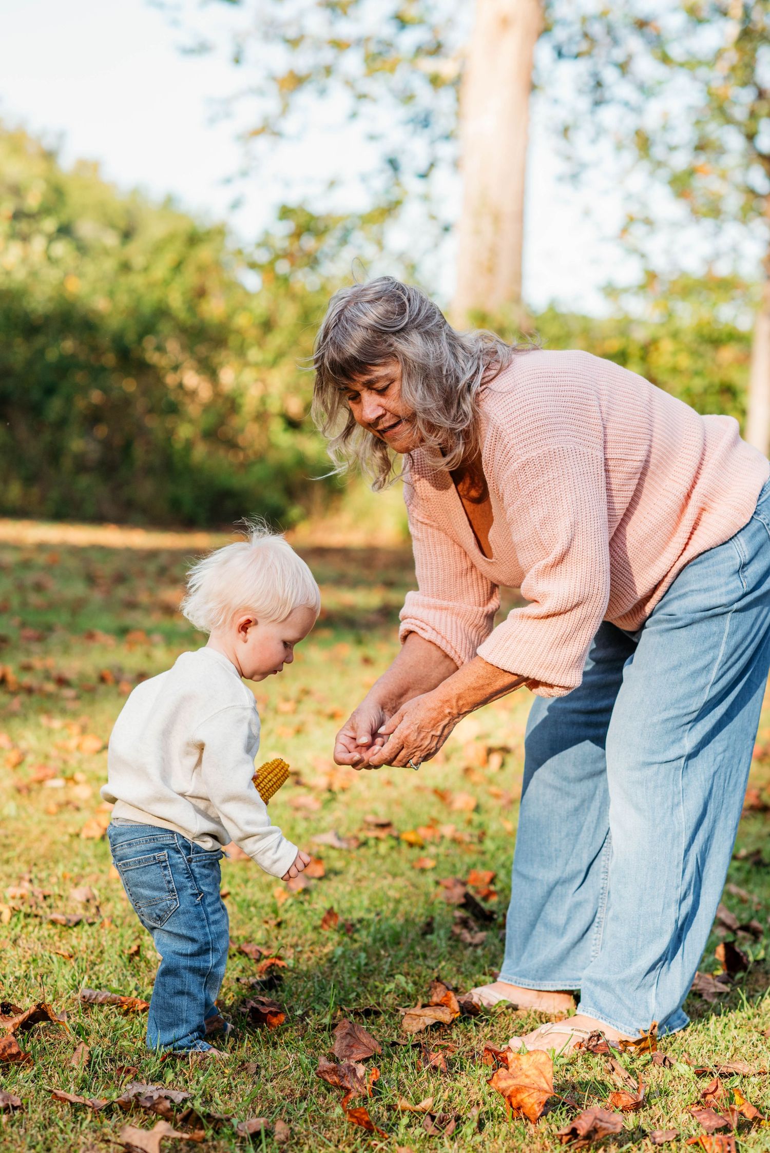 A sequence of photos showing someone picking up autumn leaves from a grassy lawn in warm sunlight.