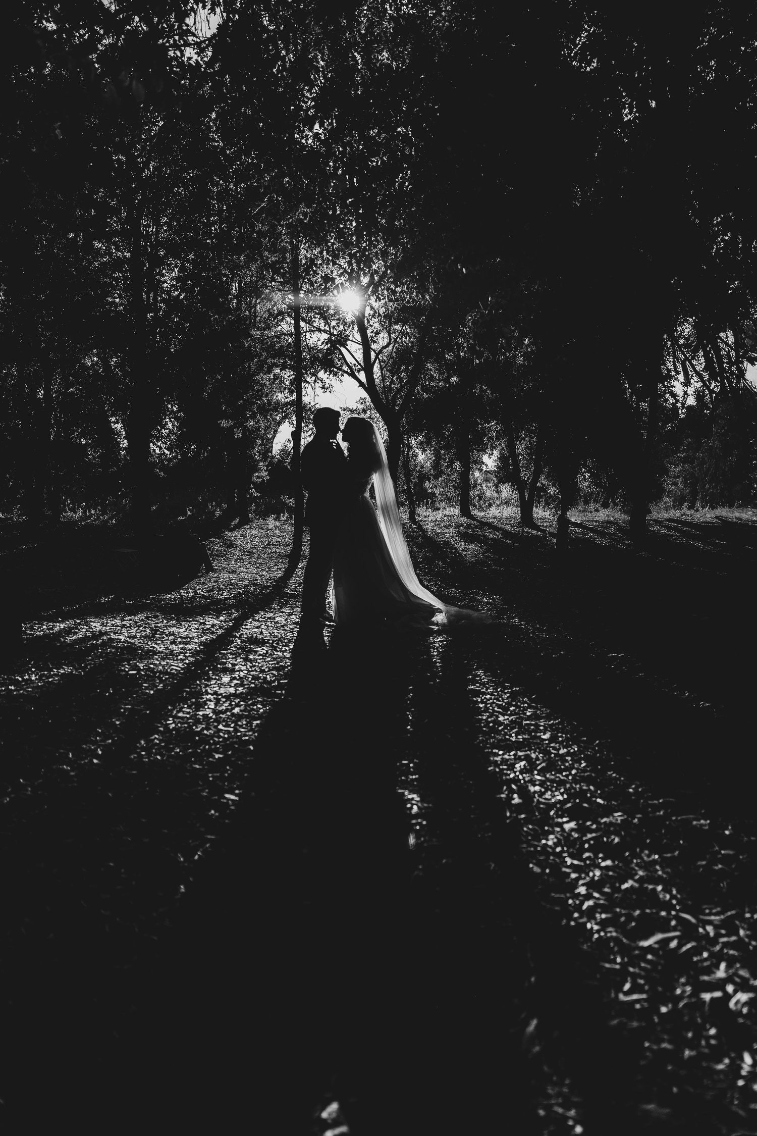 Artistic black and white silhouette of a couple in a wooded setting.