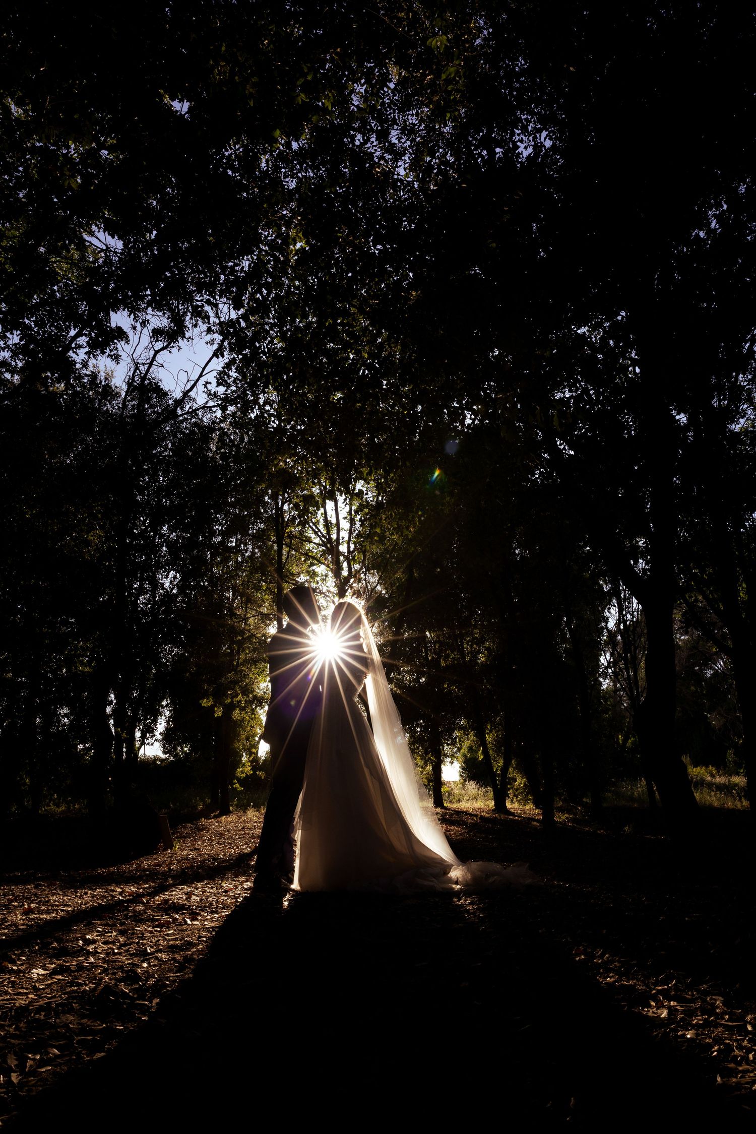 Silhouette of a bride in a sunlit forest with dramatic sunburst through the trees.