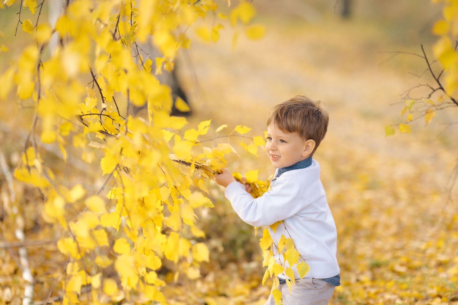 A small child in white reaches for yellow autumn leaves amid a golden fall scene.