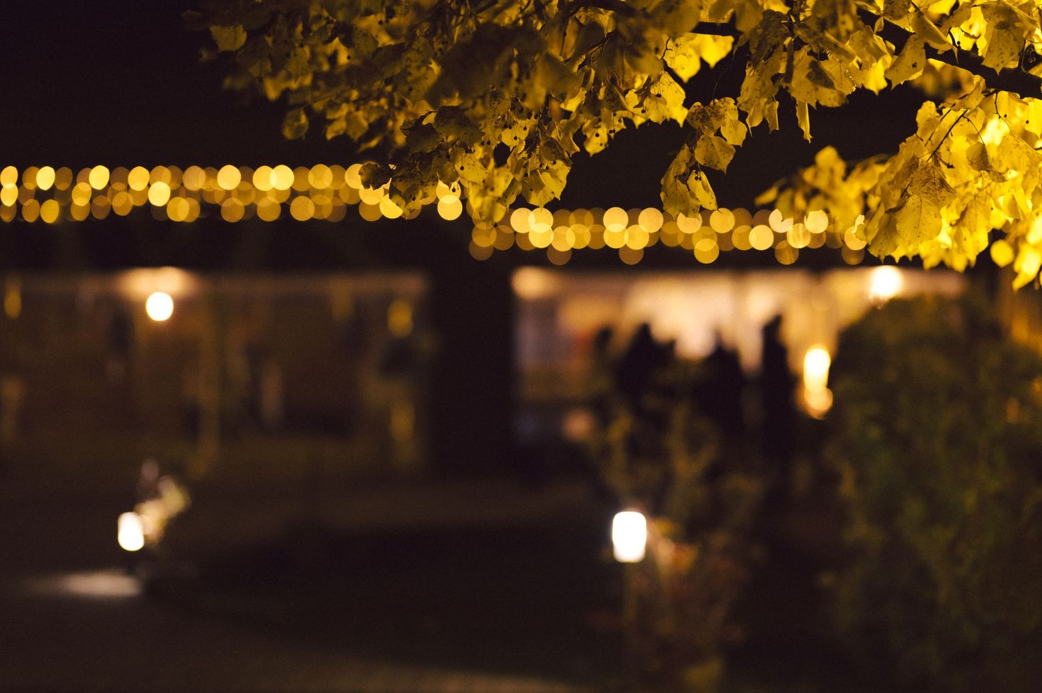 Bokeh lights through tree branches create a dreamy nighttime atmosphere.
