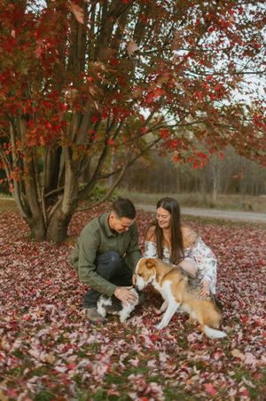 A couple plays with their dogs under a red maple tree surrounded by fallen autumn leaves.