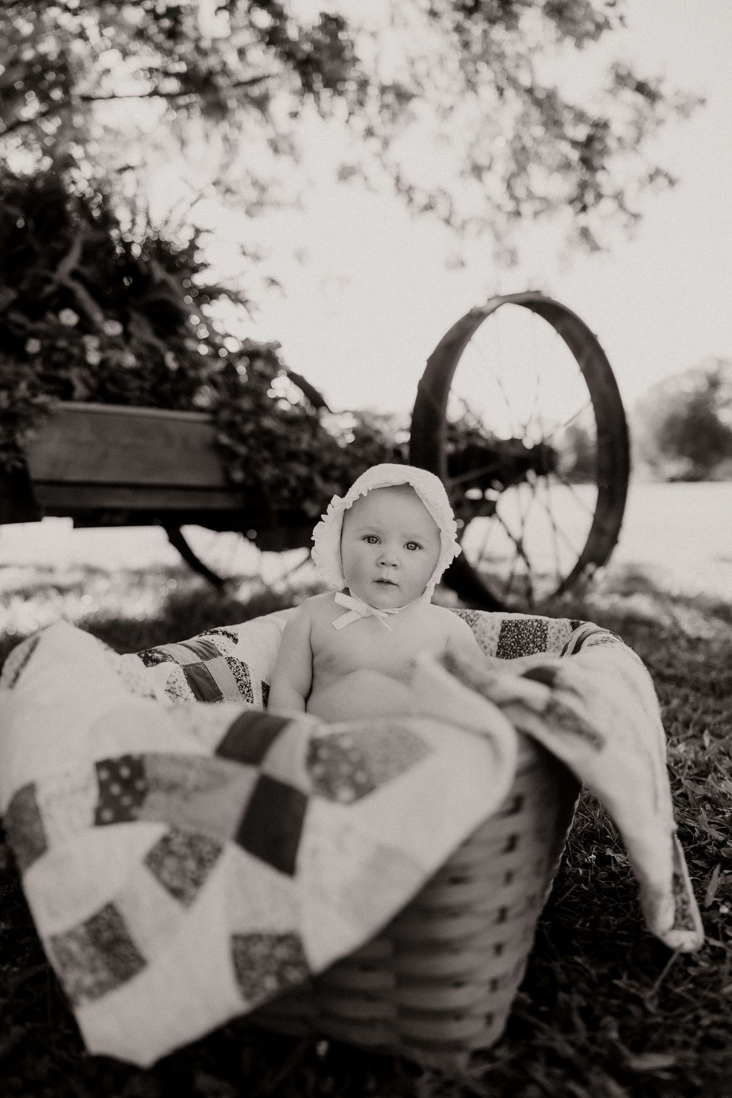 Black and white photo of a woven basket with a patchwork quilt in a natural outdoor setting.