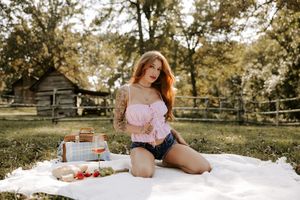 Sunny outdoor picnic with vintage decor and pastoral landscape backdrop.