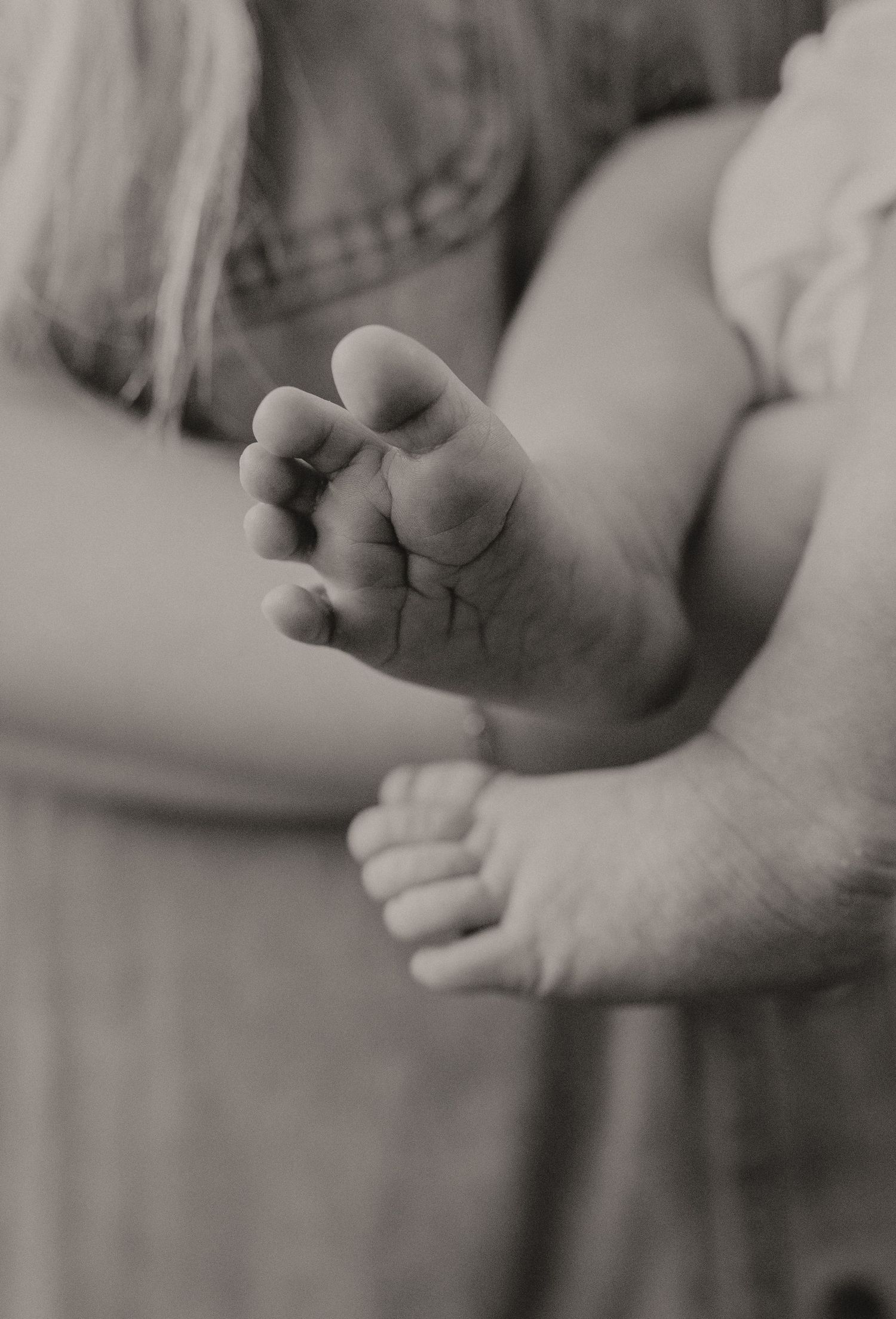Close-up black and white image of tiny baby hands against a soft background.