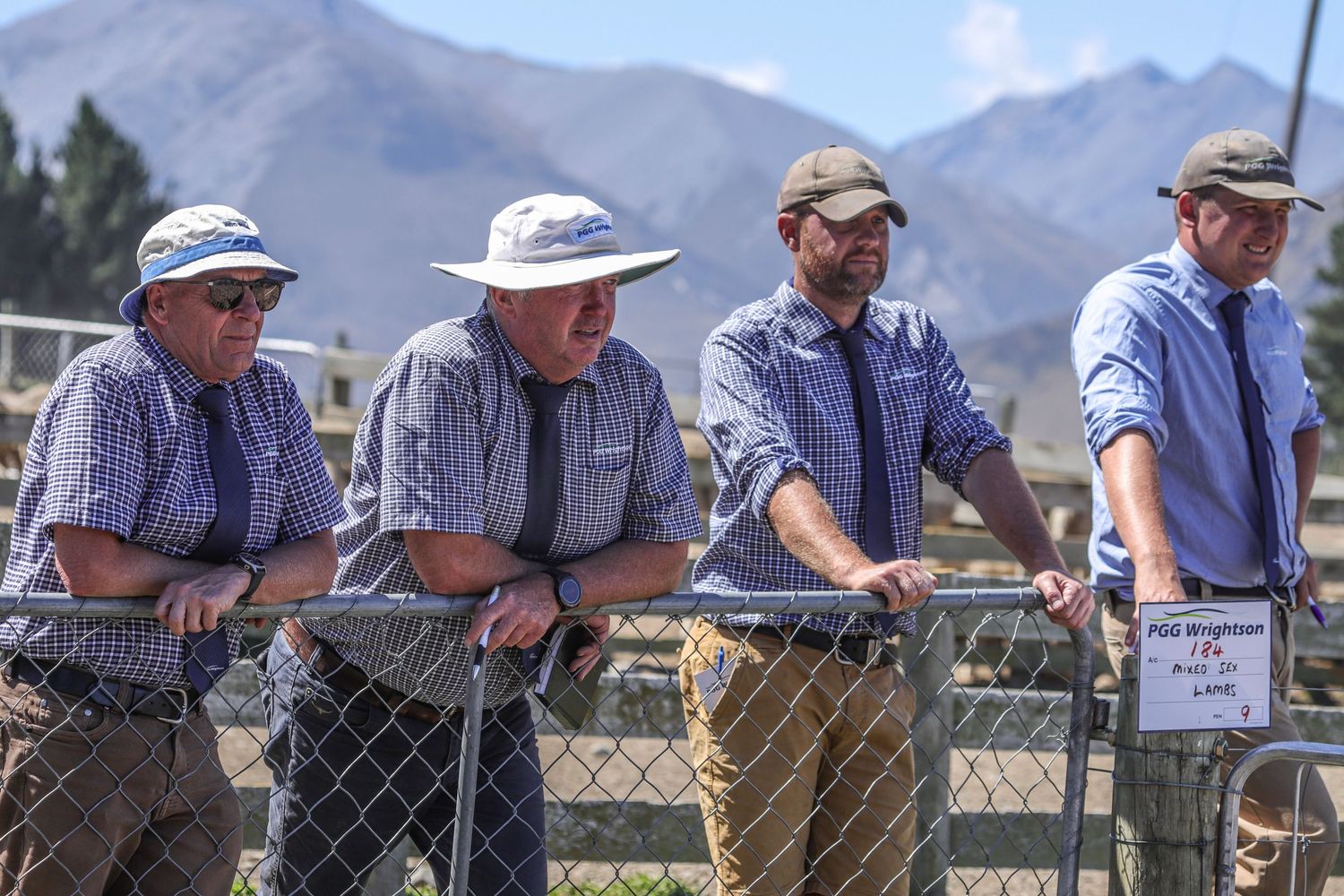 pgg-livestock-hazlett-livestock-auctioneers-ashburton-gorge-lamb-sale-2025-whisky-creek.jpg