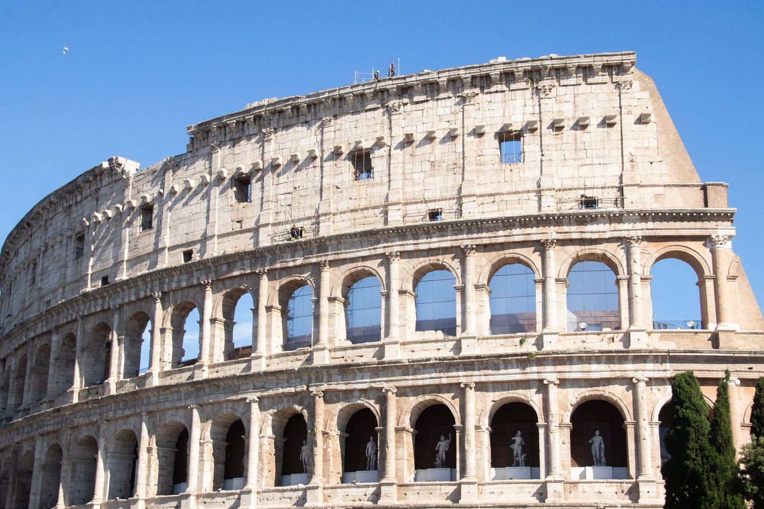 Italy Photograph of the Colosseum