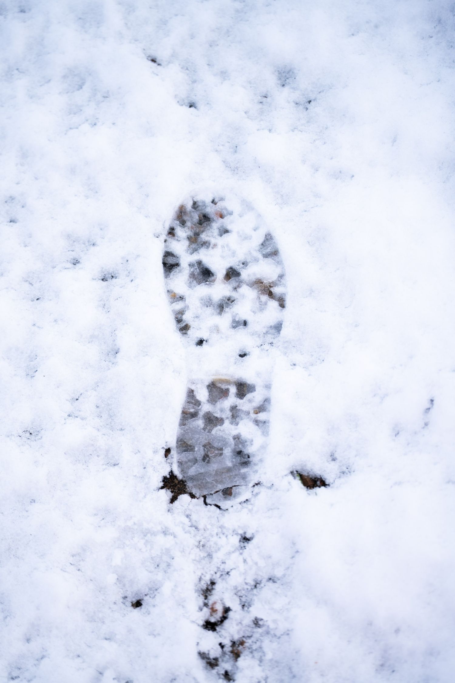 empreinte de pied dans la neige