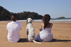 pareja con su mascota en la playa, sesión de fotos de pareja romantica en País Vasco