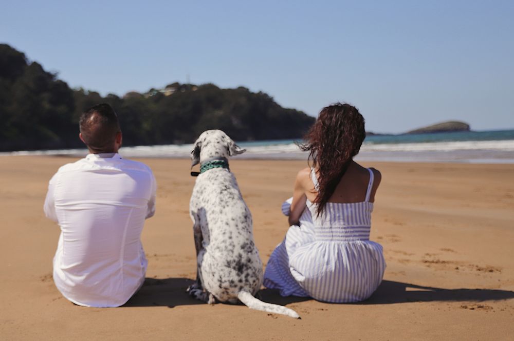 pareja con su mascota en la playa, sesión de fotos de pareja romantica en País Vasco