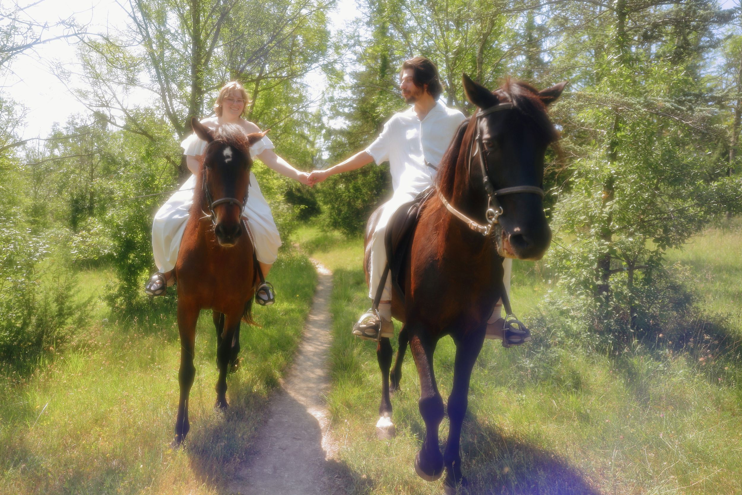 sesion de fotos con caballos, vitoria, bilbao, donostia, san sebastian, españa