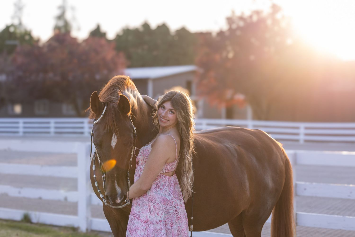 A brown horse and rider in pink dress stand together in an outdoor arena during golden hour sunset.