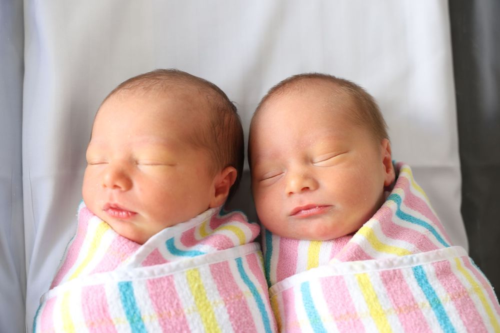 Day old twins in the hospital cot. Norwest Private newborn photographer sleeping twin boy and girl.